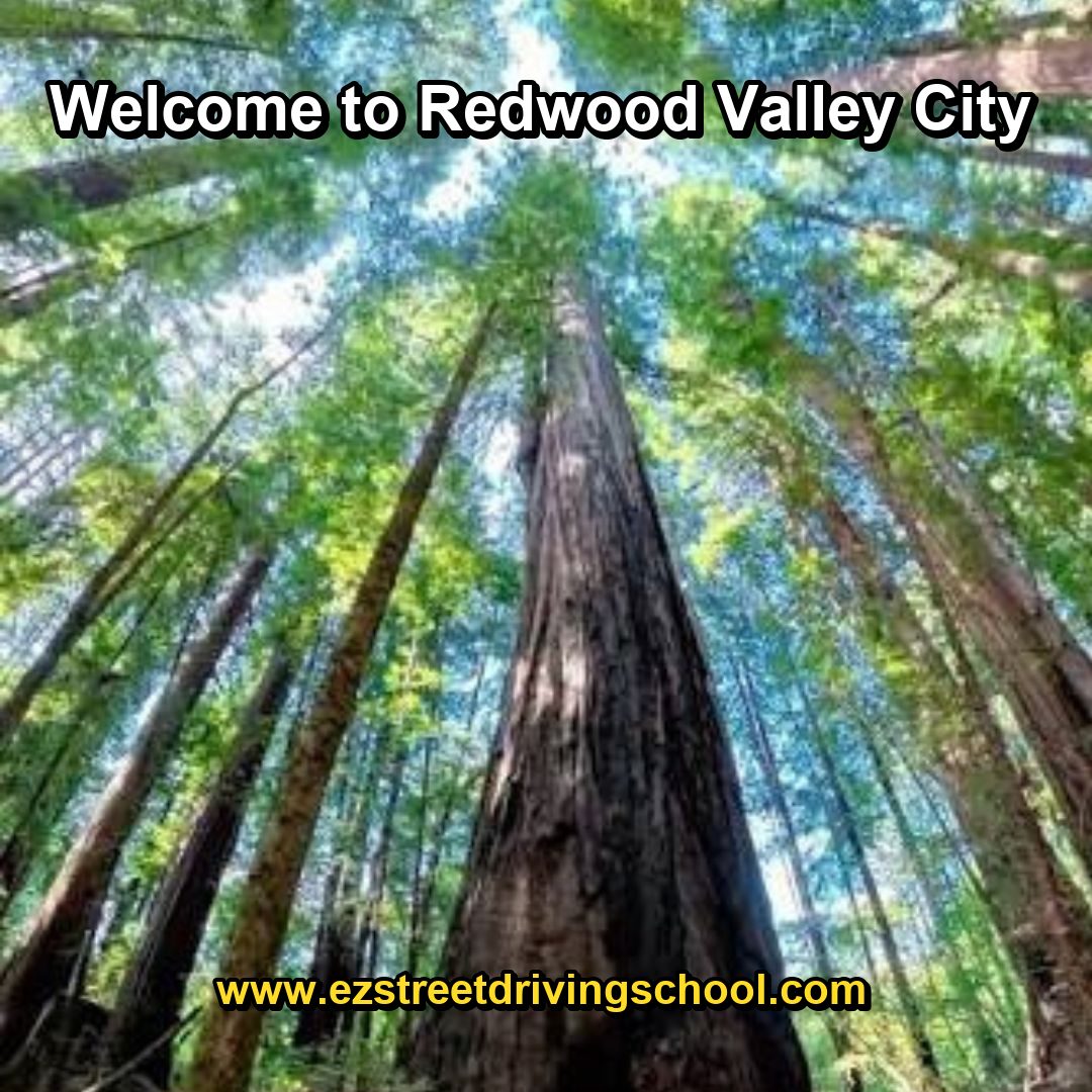 Driving Lessons in Redwood Valley